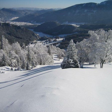 Landhaus Gschaiderhof Puchberg am Schneeberg Ngoại thất bức ảnh