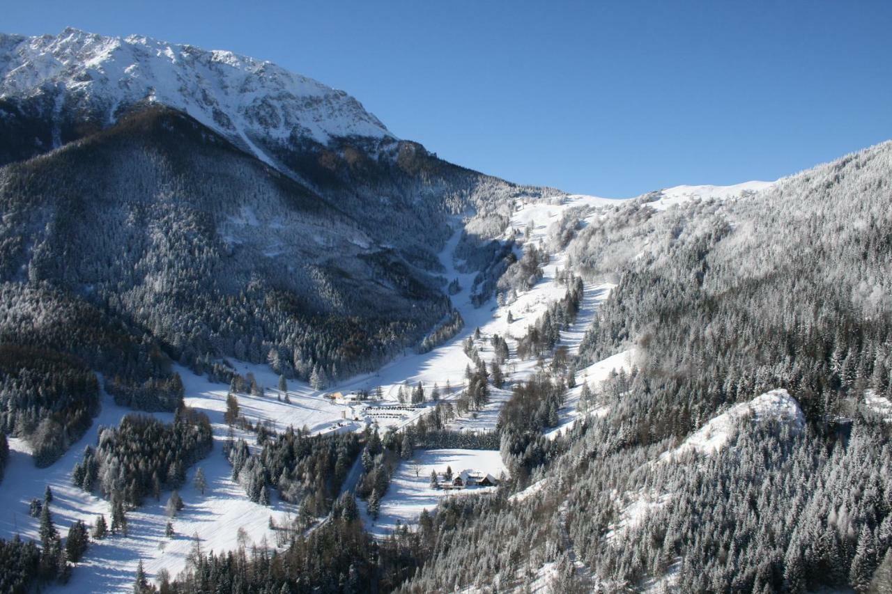 Landhaus Gschaiderhof Puchberg am Schneeberg Ngoại thất bức ảnh